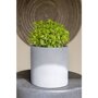 Pottery Pots Natural Puk ronde plantenbak grijs detail